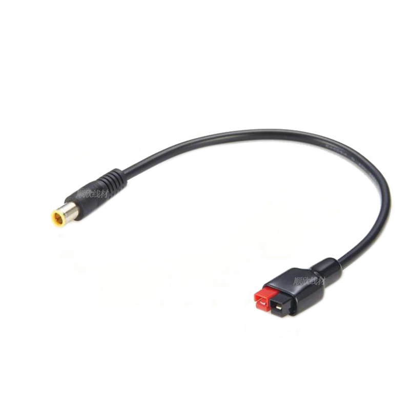 Câble de connexion Anderson DC - Outdoor Power Extension Cord avis et prix
