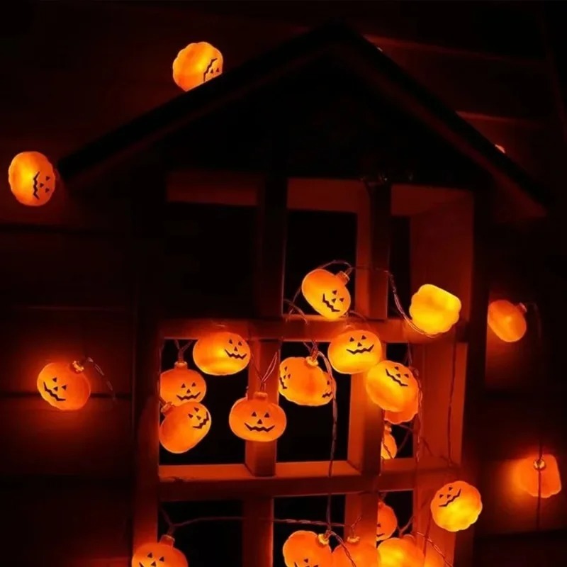 Guirlande de lumières à piles  - Outdoor Power Lights avis et prix